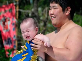 Crying Baby Sumo