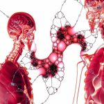 lung platelet production