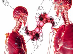 lung platelet production