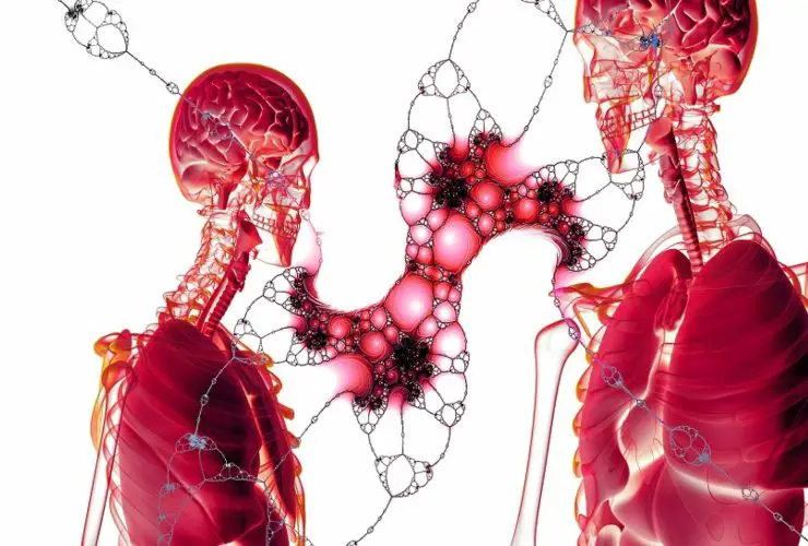 lung platelet production