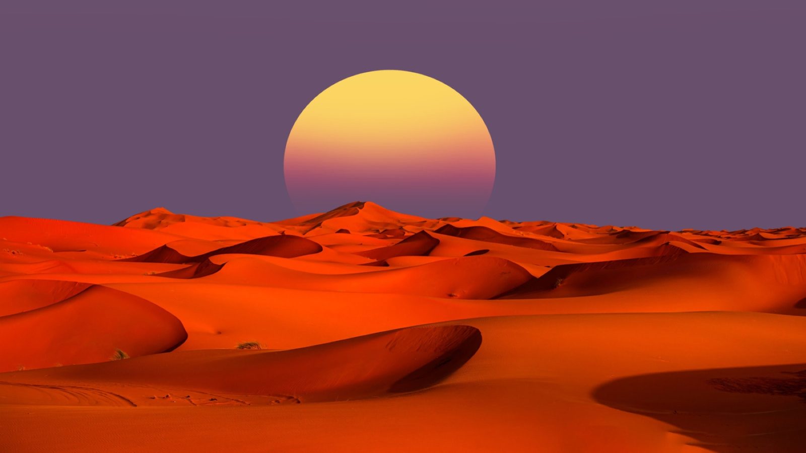 The Sahara Desert